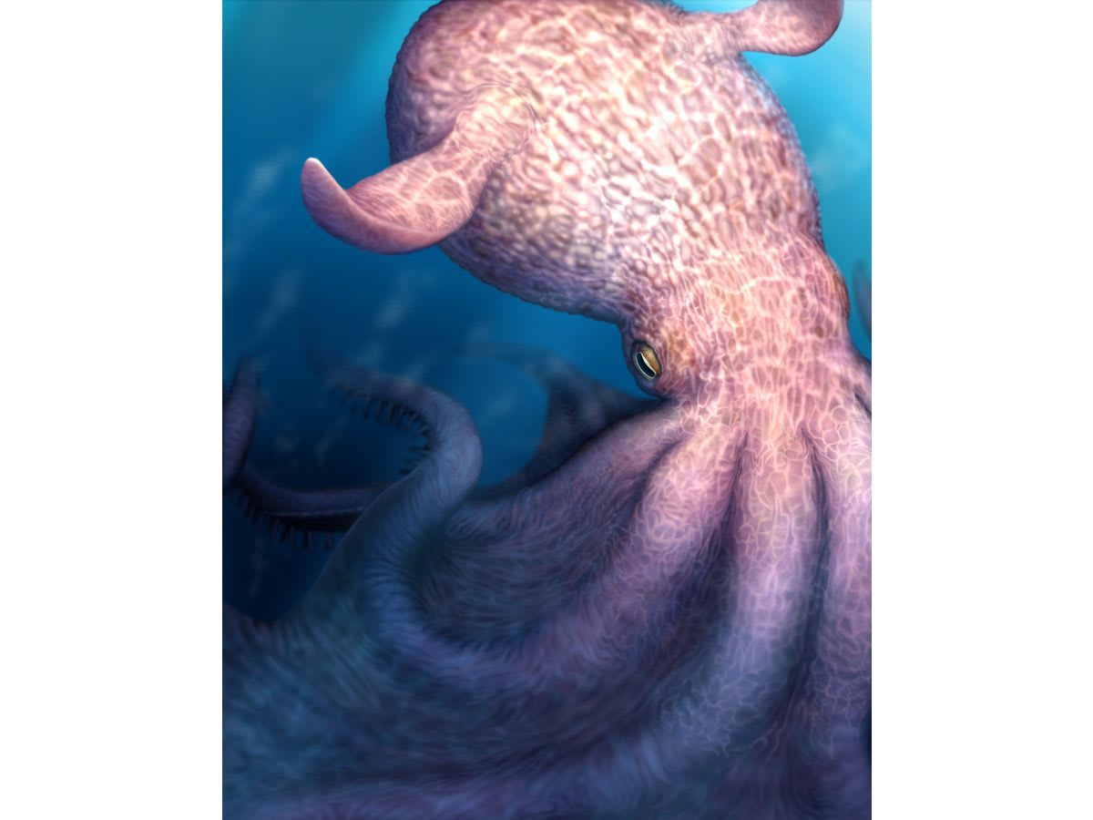 Ancient 60-Foot Octopus Was Ocean's Fiercest Hunter