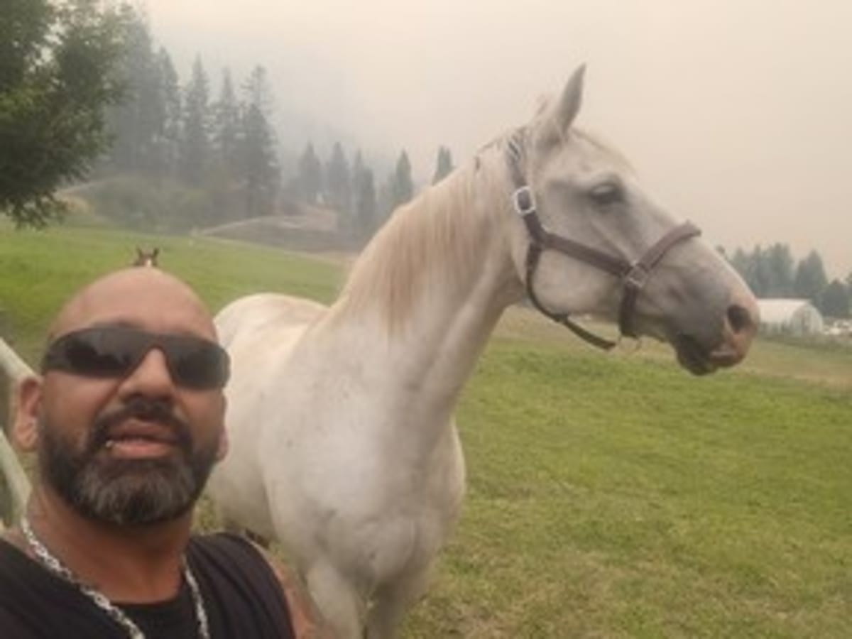 Volunteers Rescue 100+ Animals From B.C. Wildfire Zones - Image 2
