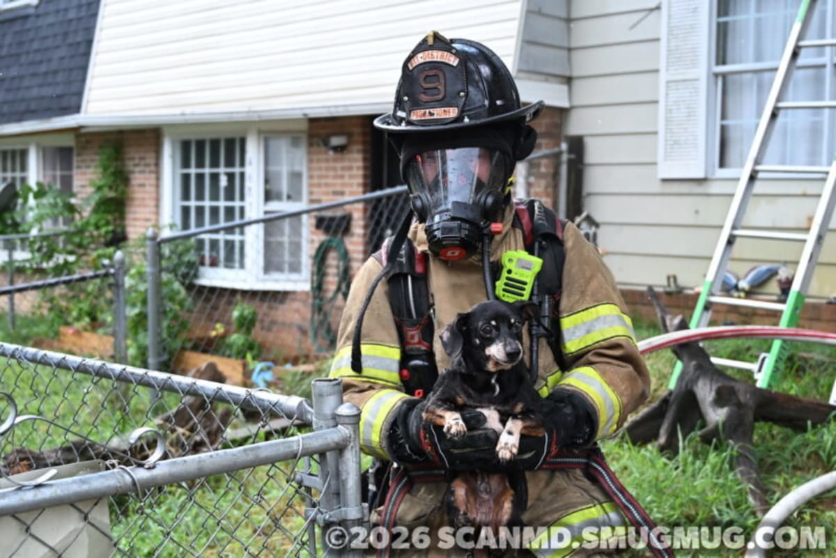 Firefighters standing outside smoke-filled Maryland townhome after successful dog rescue operation