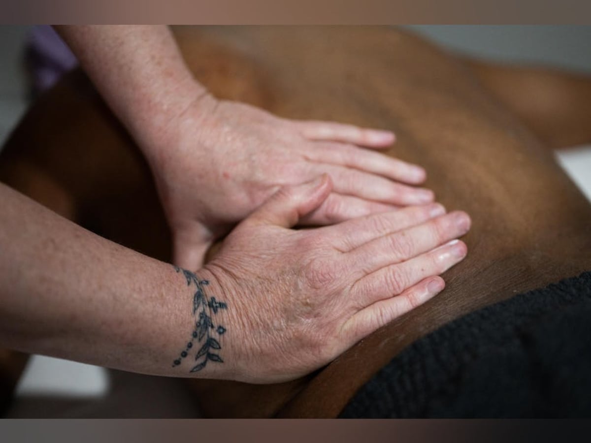 Free Wigs and Healing Touch: Cancer Agency Helps Survivors - Image 4