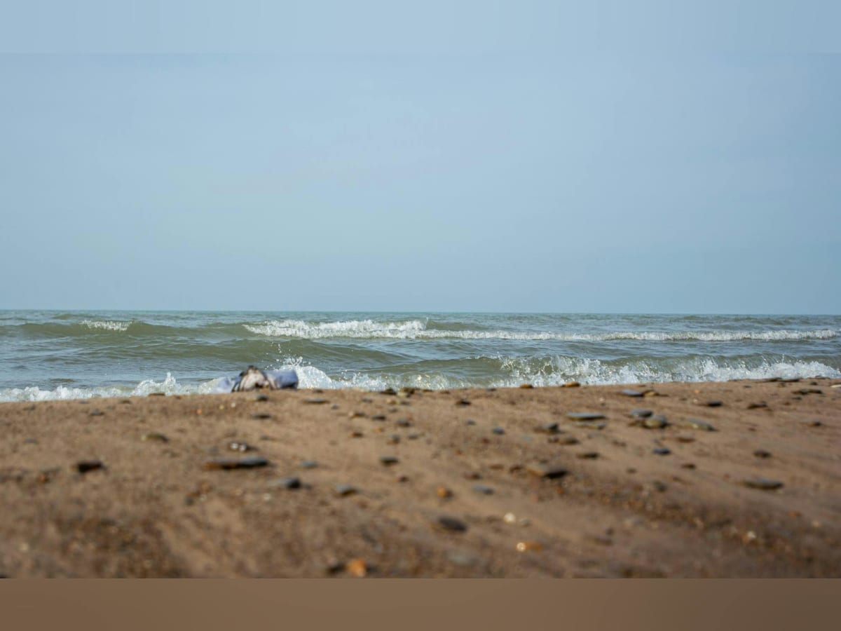 Indiana River Gets Cleaner Year After Year Thanks to Locals - Image 4