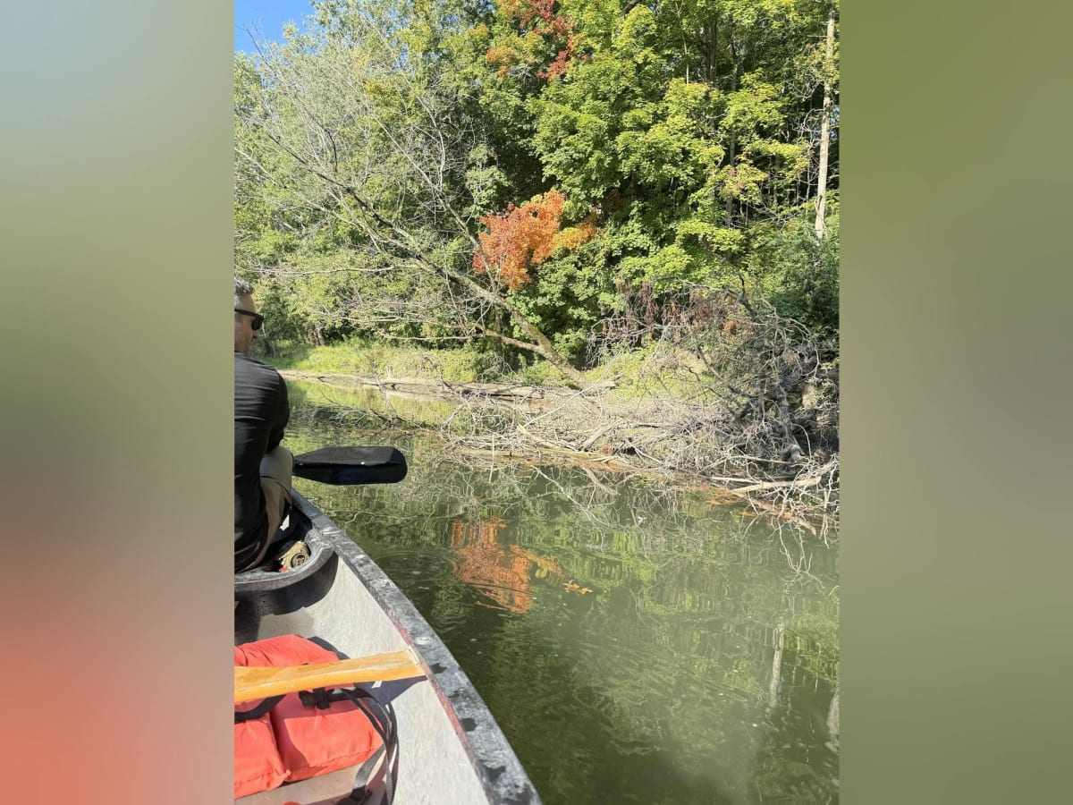 Indiana River Gets Cleaner Year After Year Thanks to Locals - Image 2