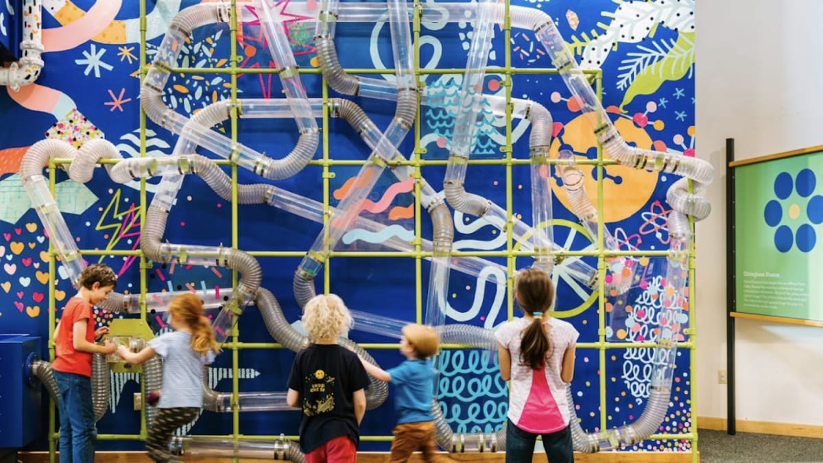 Ithaca Celebrates 20 Years of Darwin Days Science Festival - Image 4