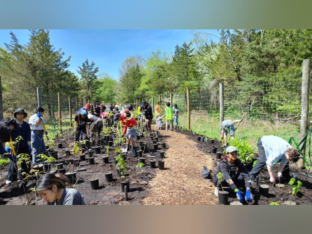 300 Students Plant Forest on WWII Road at Rutgers - Image 2