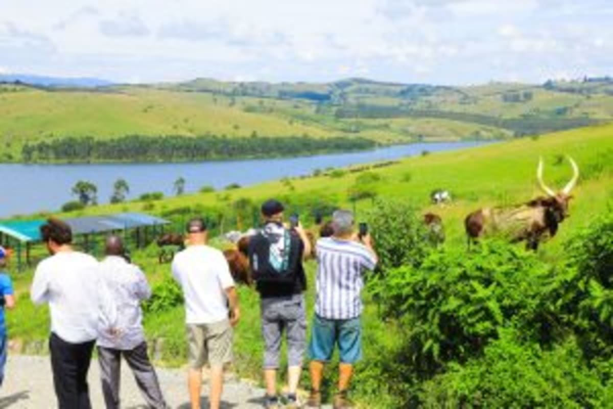 Uganda's Coffee Park Wows German Buyers with Innovation - Image 2