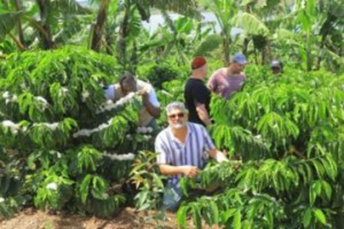 Uganda's Coffee Park Wows German Buyers with Innovation - Image 4