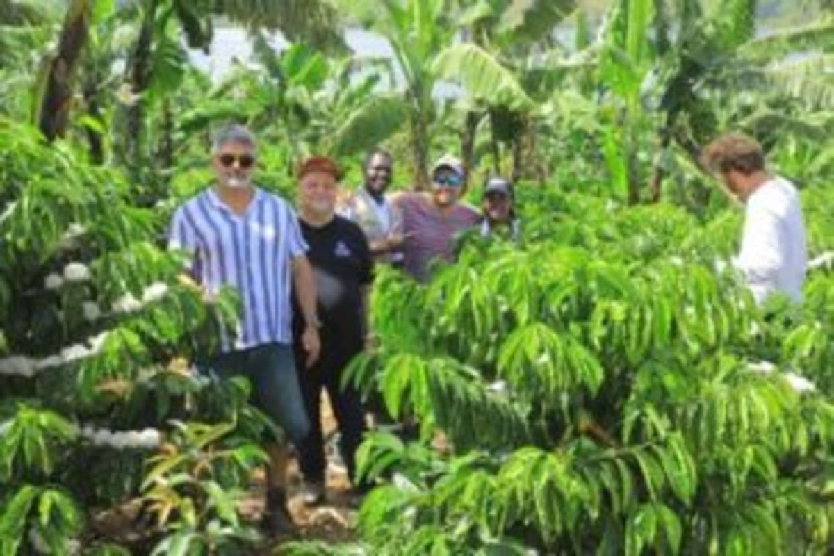 Uganda's Coffee Park Wows German Buyers with Innovation - Image 5