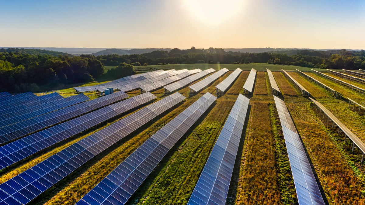 Hungary Gets €210M for Massive Solar and Battery Project