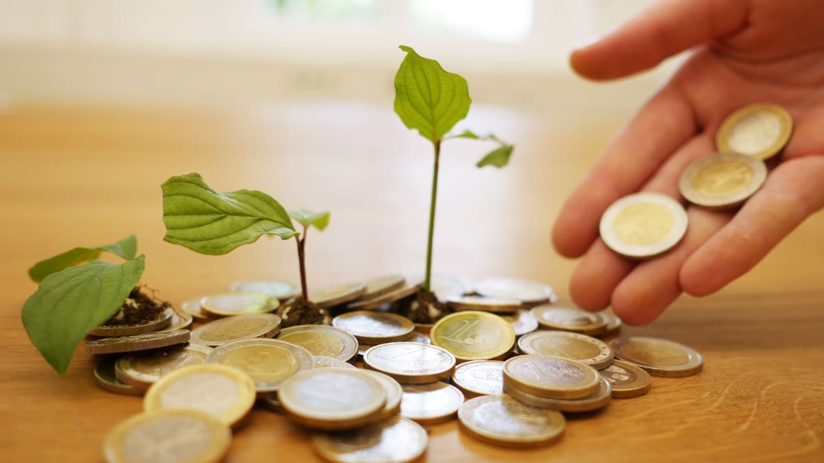Solar panels installed across Philippine landscape with mountains in background representing clean energy transition