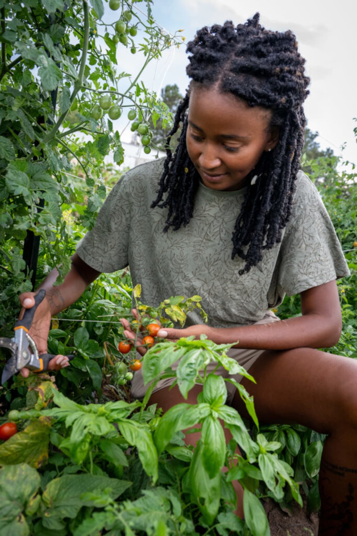CSU Students Grow 20,000 Pounds of Food for Campus Pantries - Image 2