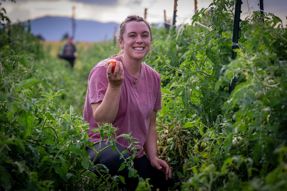 CSU Students Grow 20,000 Pounds of Food for Campus Pantries
