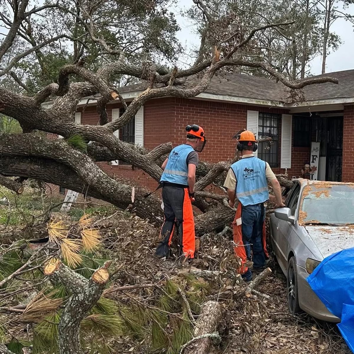 Mennonite volunteers using chainsaws to clear fallen trees after tornado damage in Illinois community