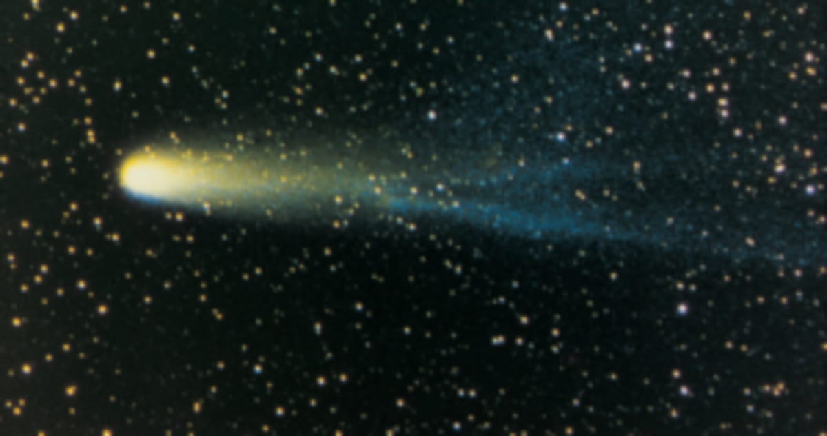 Ancient Sea Life 10 Million Years Older Than We Thought - Image 4