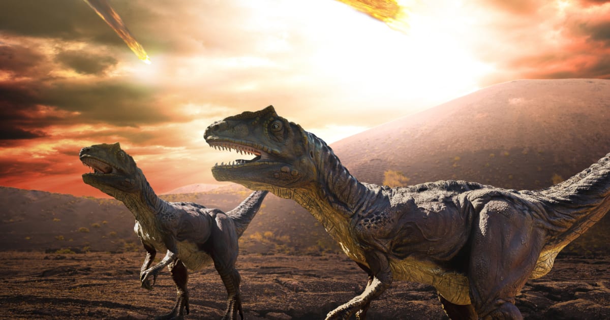Fossilized fish gills containing tiny glass beads from the asteroid that killed the dinosaurs