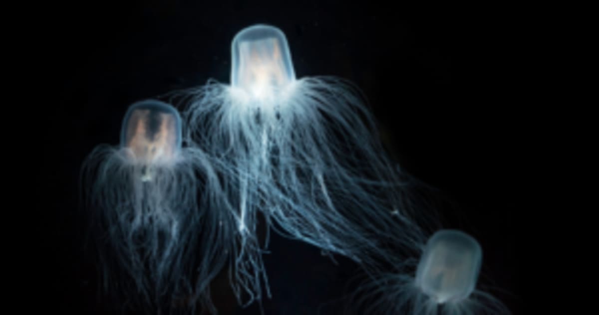 Brain Science Reveals Your Personality Can Change at Any Age - Image 3