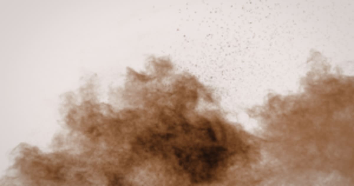 Honeybees Recognize Human Faces With Brains Smaller Than Pins - Image 3