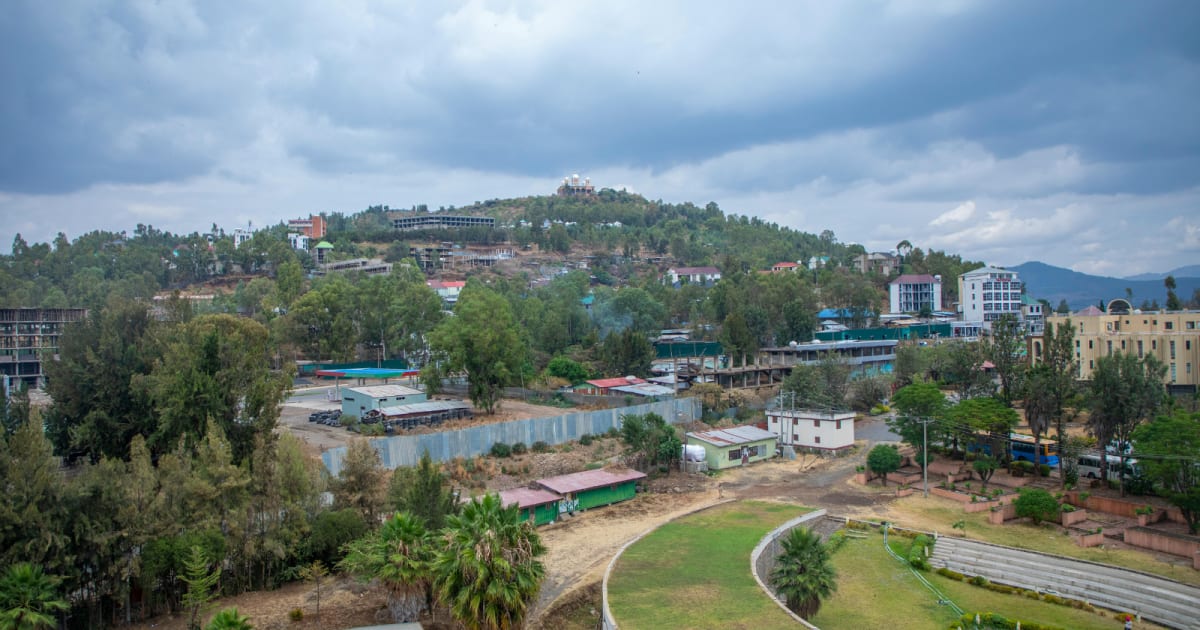 Ethiopia Plants 353 Million Trees in Just 12 Hours