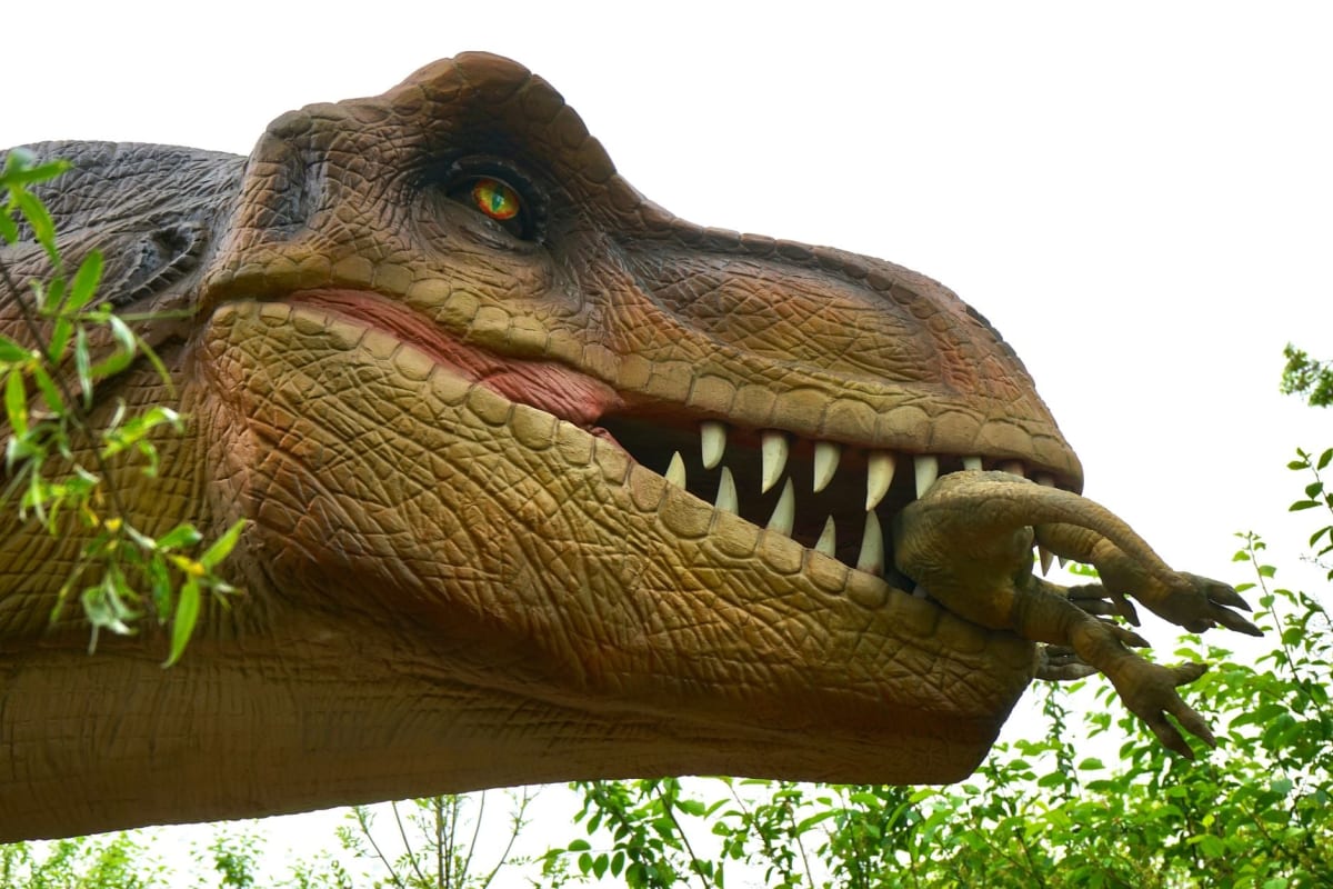 Alamosaurus sauropod dinosaur in lush tropical forest environment 66 million years ago