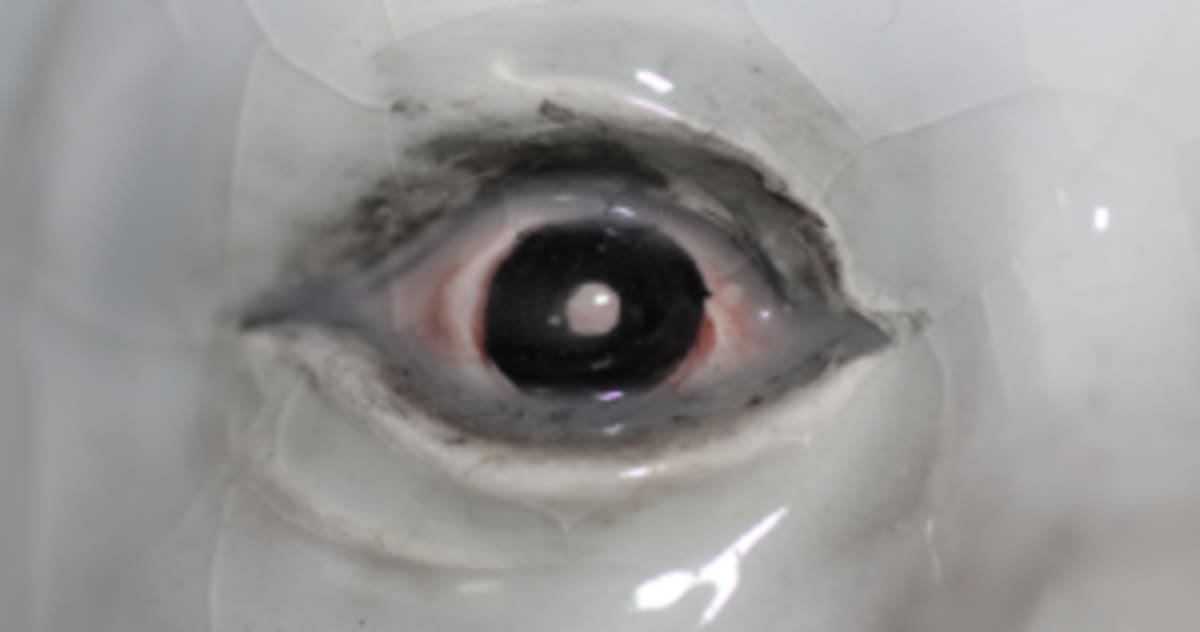 James Webb Solves Mystery of "Little Red Dots" in Space - Image 4