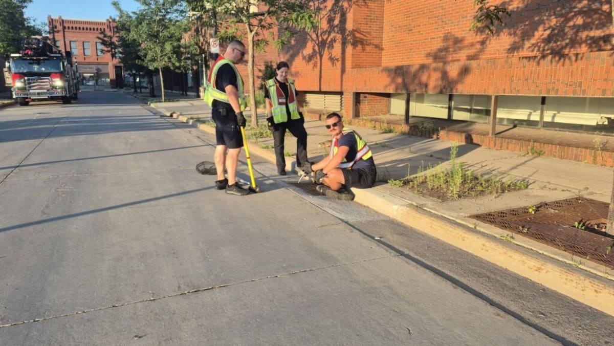 Stevens Point Firefighters Free 8 Ducklings From Drain - Image 3