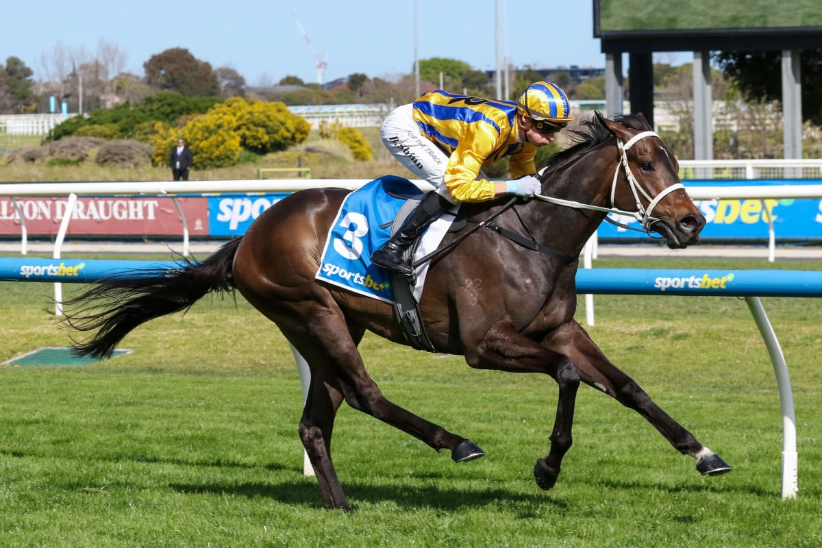 From NZ Stables to World's Richest Horse Race - Image 4