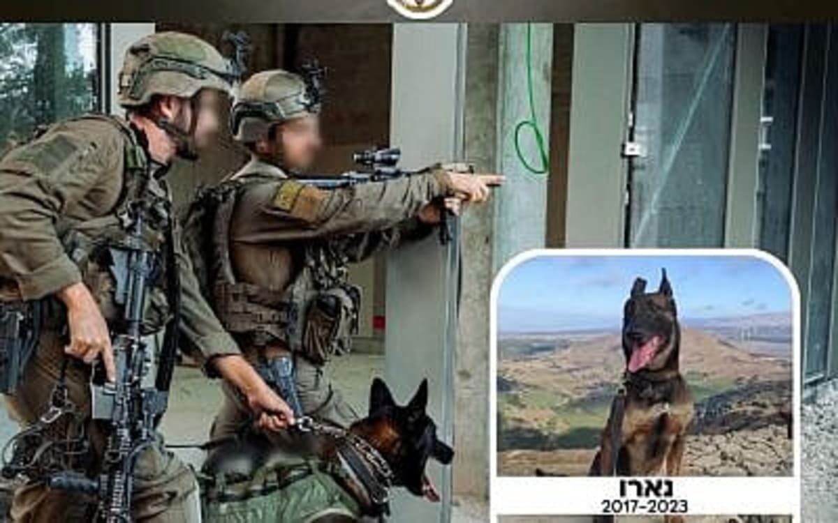 AI-Equipped Rescue Dogs Could Save Lives in Disasters - Image 2