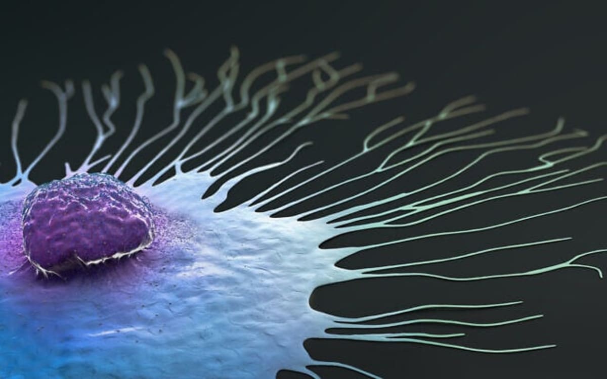 Drug-Free Nanoparticles Stop Aggressive Breast Cancer in Mice - Image 4