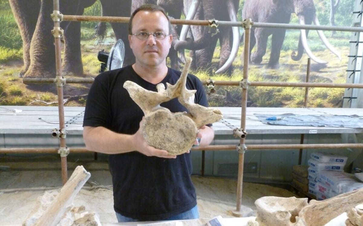 Smaller Prey Drove Ancient Tool Revolution, Not Smarter Brains - Image 2