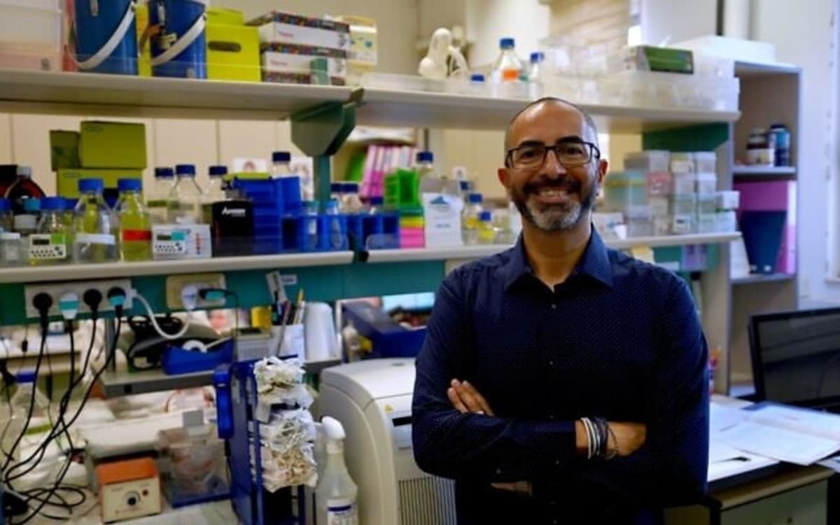 Israeli Scientists Find First Drug Hope for Fatty Liver - Image 2