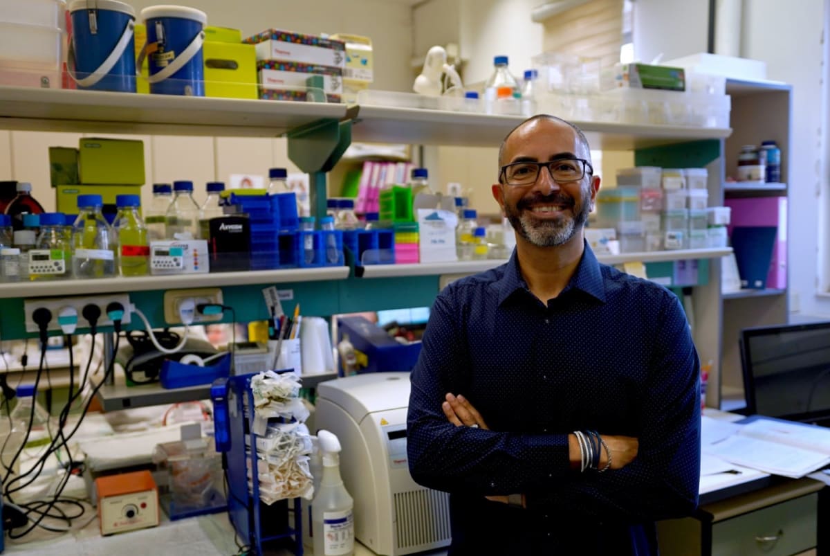 Israeli Scientists Find First Drug Hope for Fatty Liver