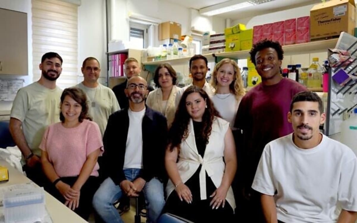 Israeli Scientists Find First Drug Hope for Fatty Liver - Image 3