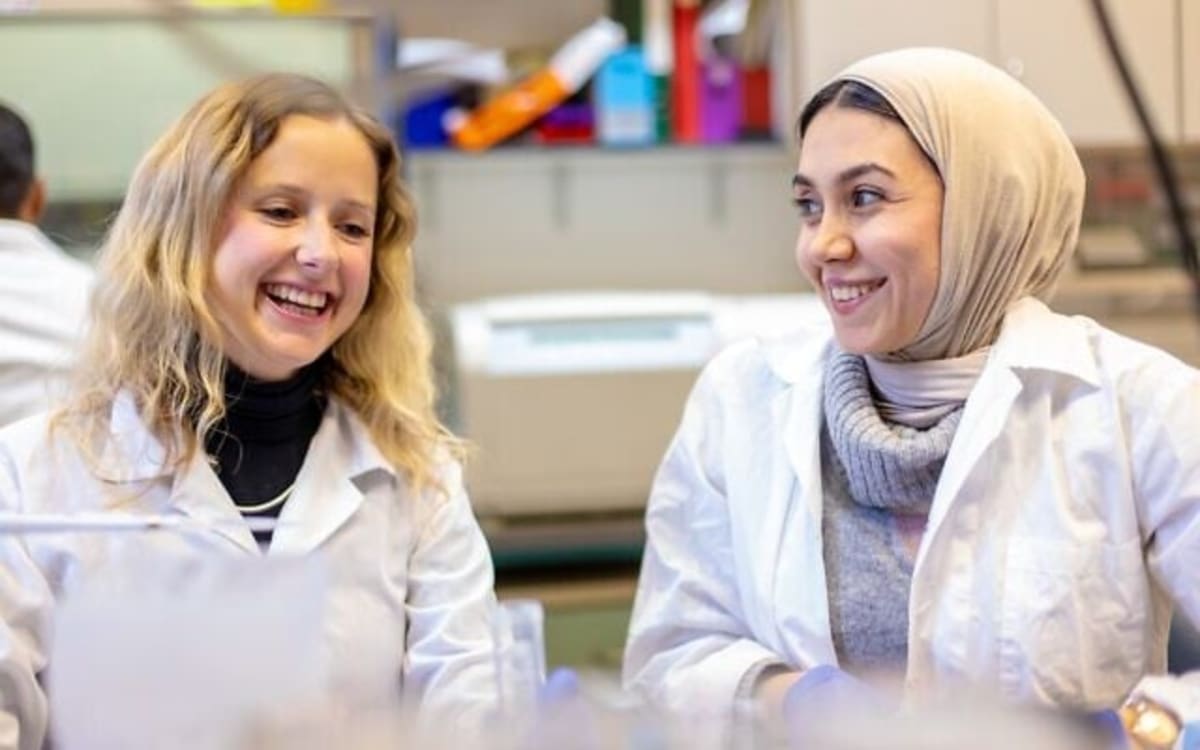 Israeli Scientists Find First Drug Hope for Fatty Liver - Image 5