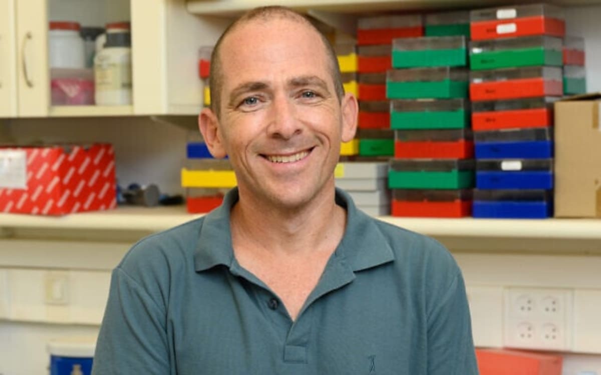 Scientists Map Human Liver in 8 Zones, Not 3 - Image 3
