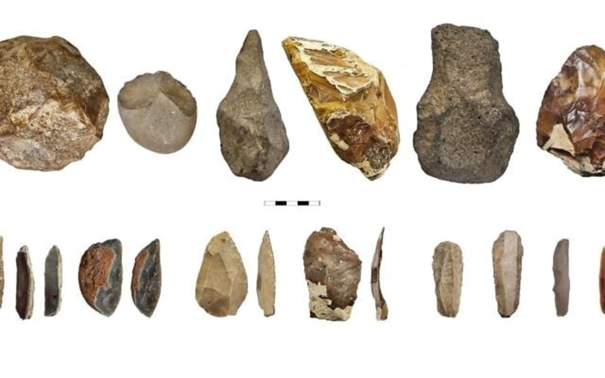 Smaller Prey Drove Ancient Tool Revolution, Not Smarter Brains - Image 3