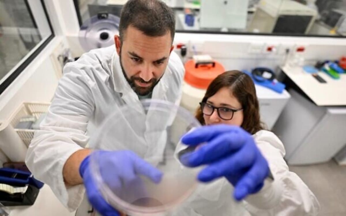 Drug-Free Nanoparticles Stop Aggressive Breast Cancer in Mice - Image 2
