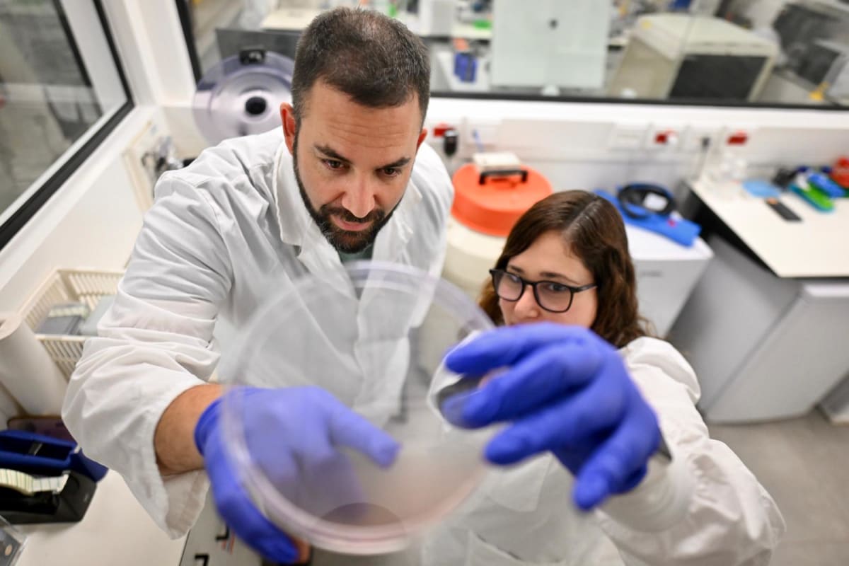 Drug-Free Nanoparticles Stop Aggressive Breast Cancer in Mice