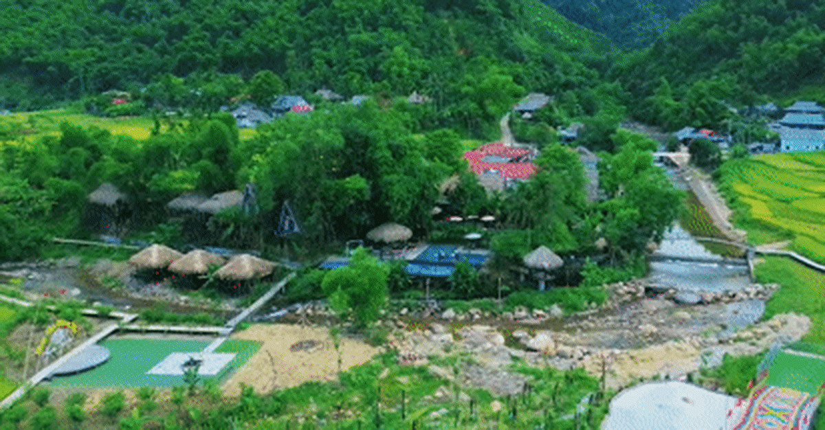 ** Traditional Thai wooden stilt house homestay surrounded by green terraced rice fields in northern Vietnam