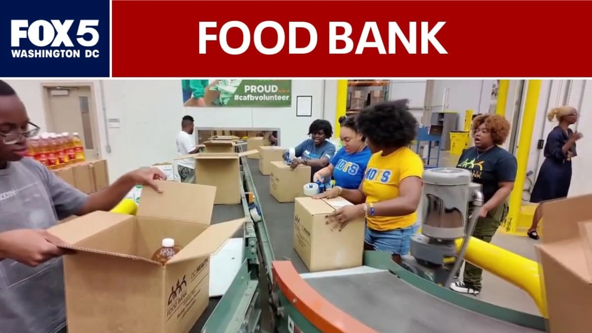 FOX 5 Volunteers Pack 400 Boxes for Hungry D.C. Seniors - Image 3