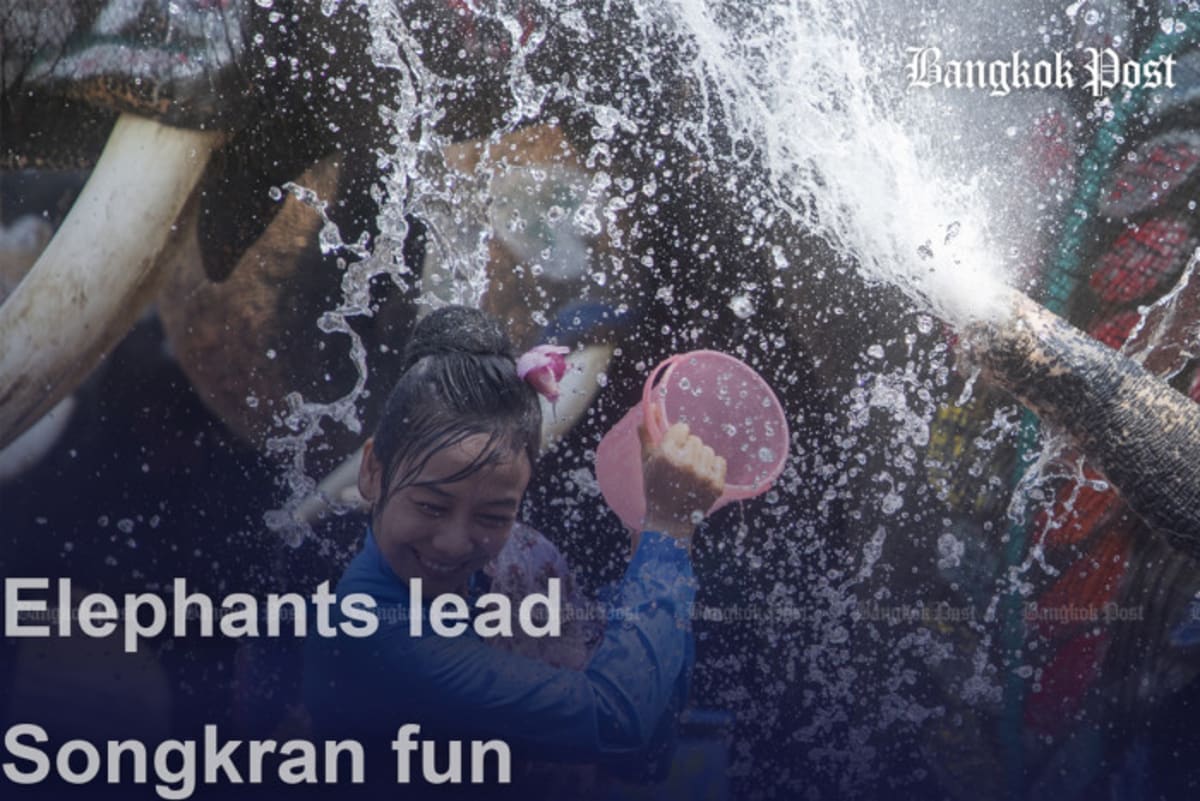 Elephants spraying water at crowds during colorful Songkran festival celebration in Ayutthaya, Thailand