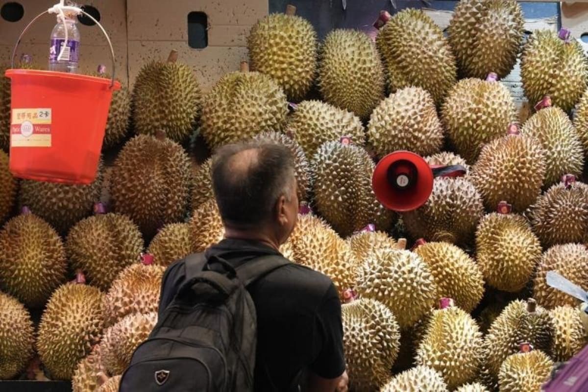New Rail Cuts Thai Durian Prices in China by 30% - Image 2