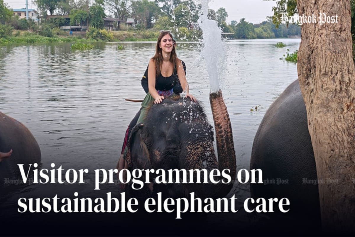 Elephant caretaker interacting gently with elephant at Royal Kraal Village in Thailand