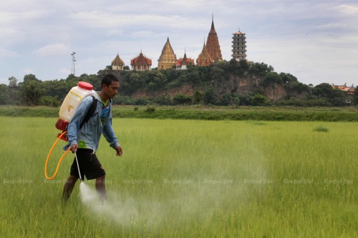 Thailand Court Backs Toxic Pesticide Ban, Deaths Drop 20% - Image 2
