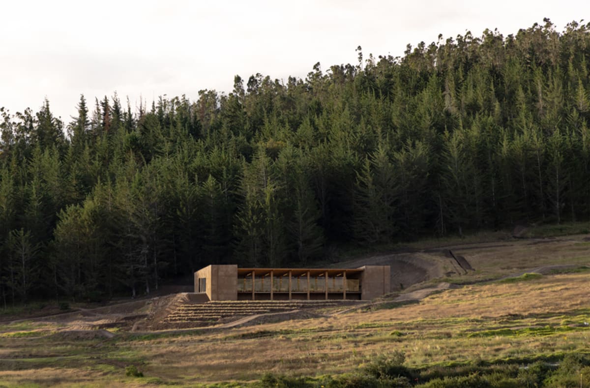 Ecuador Bike Park Blooms After Decades of Reforestation - Image 2