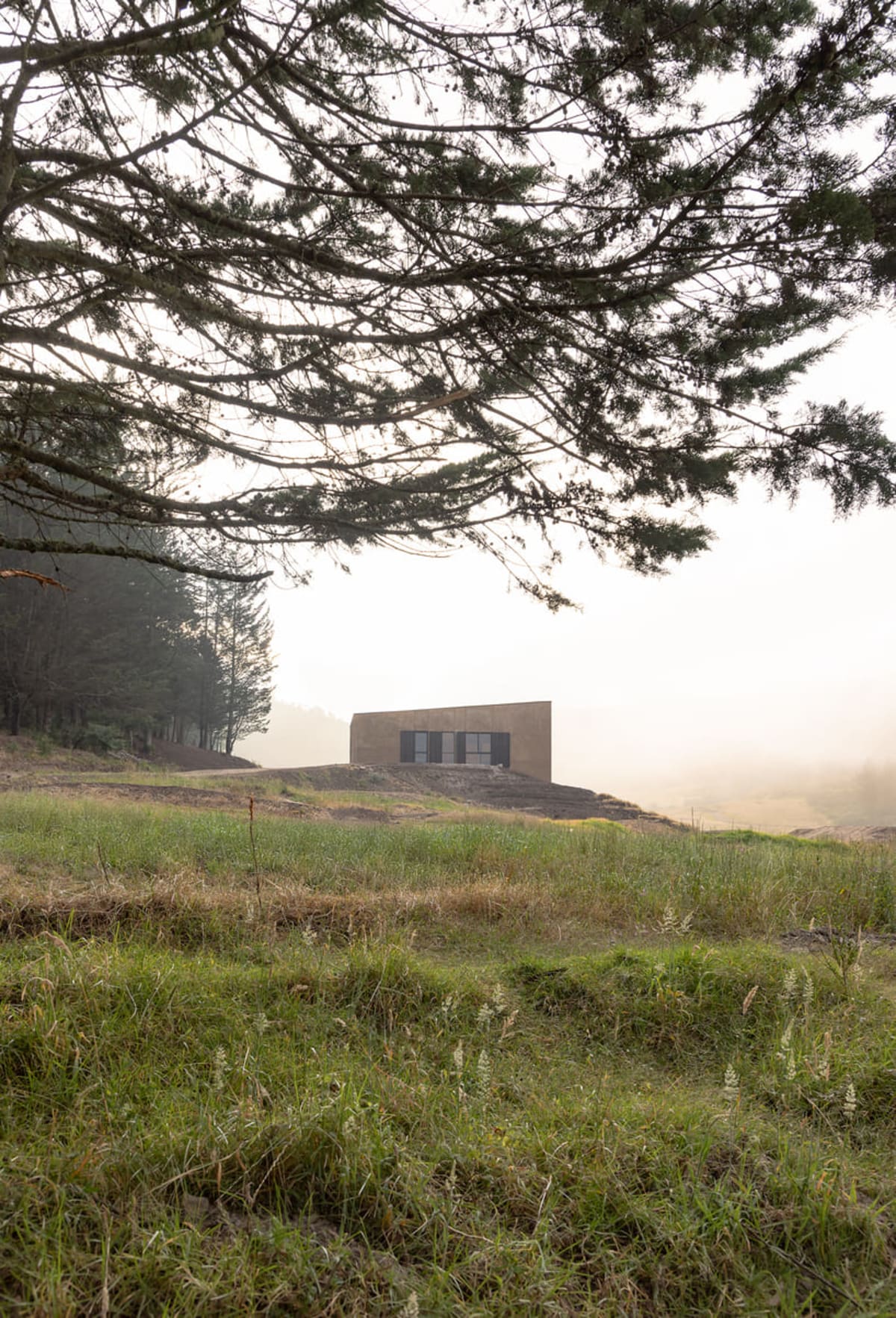 Ecuador Bike Park Blooms After Decades of Reforestation - Image 5