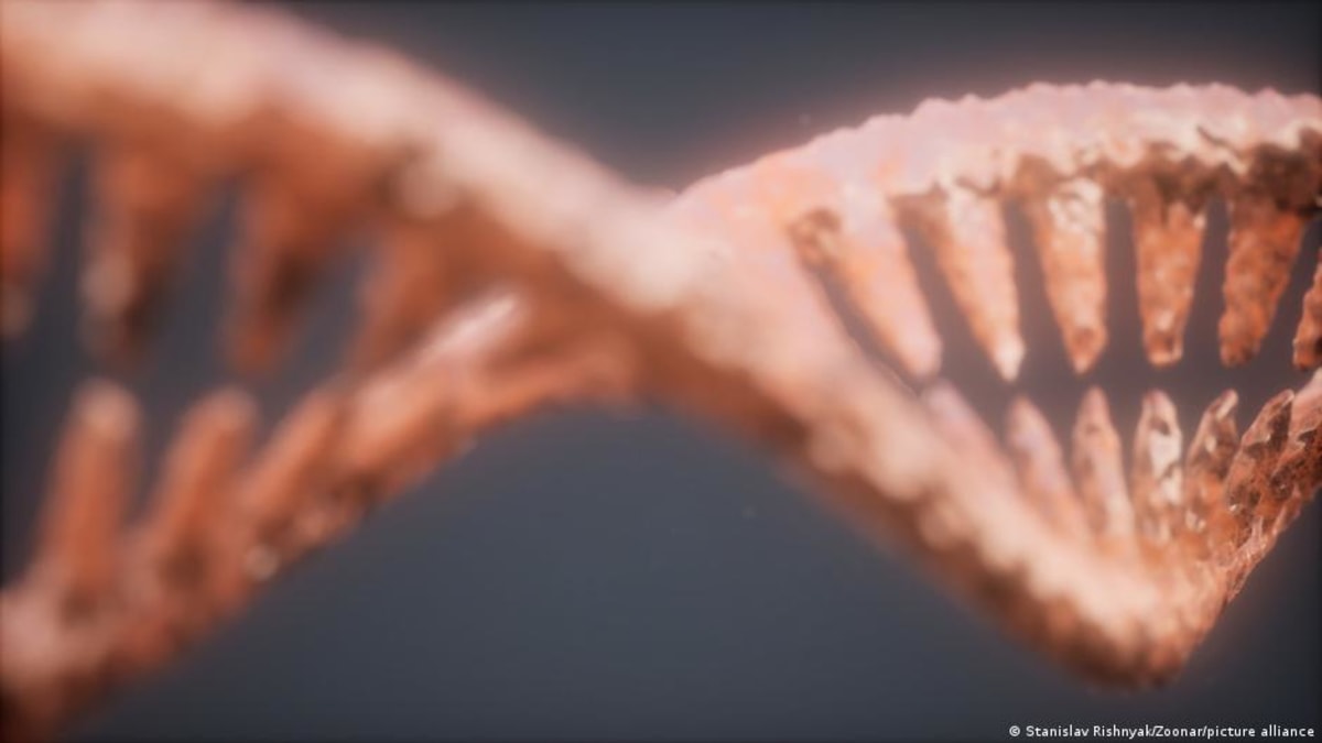Microscopic view of DNA double helix structure glowing against dark background illustrating genetic breakthrough