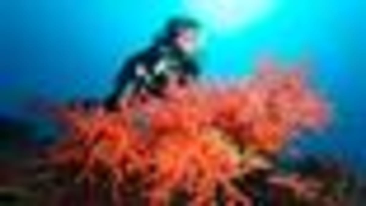 UK Ties Ecosystem Protection to National Security - Image 2