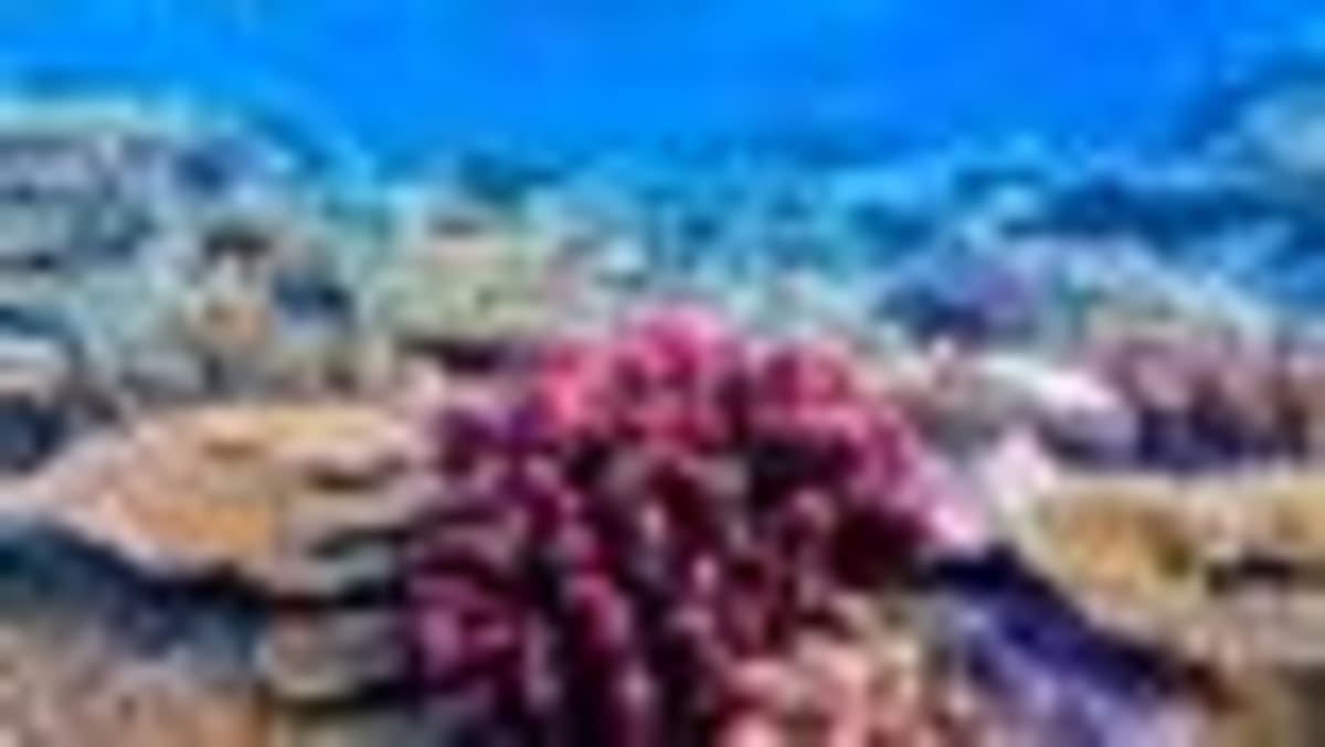 UK Ties Ecosystem Protection to National Security - Image 3