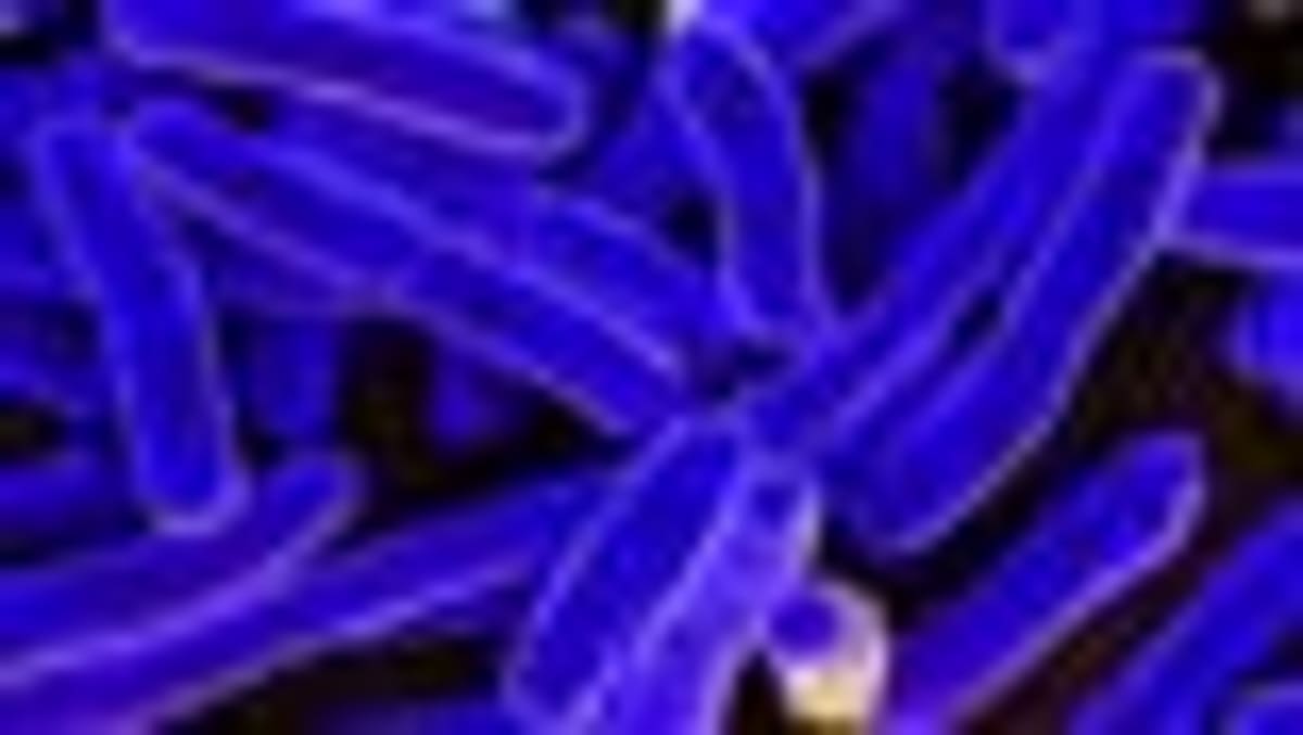 Bacteria Protein Writes DNA From Scratch, Defying Biology - Image 2