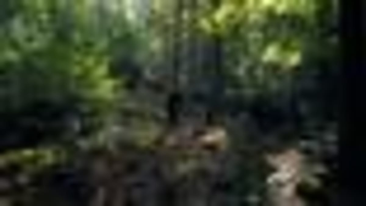 Natural Hydrogen in Germany Could Power Homes for 200 Years - Image 2