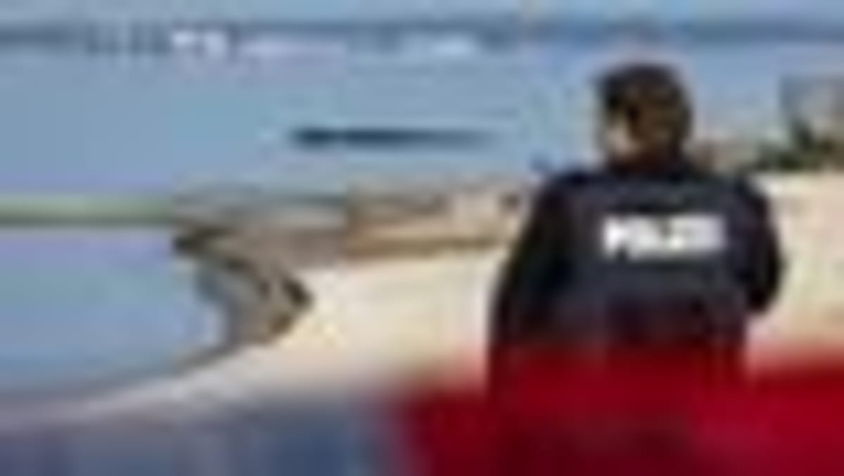 Rescuers Free Tangled Whale from Netting on German Coast - Image 2